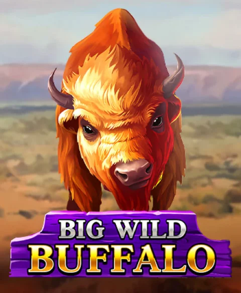 Play Big Wild Buffalo at Classy Slots Casino